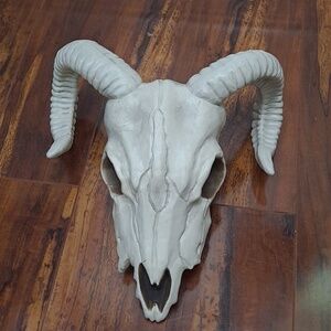 Crazy Bonez Ram Plastic Decoration Skull Wall Accent in Off-White